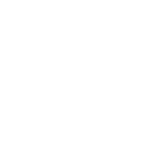 NOAH